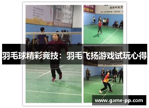 羽毛球精彩竞技：羽毛飞扬游戏试玩心得